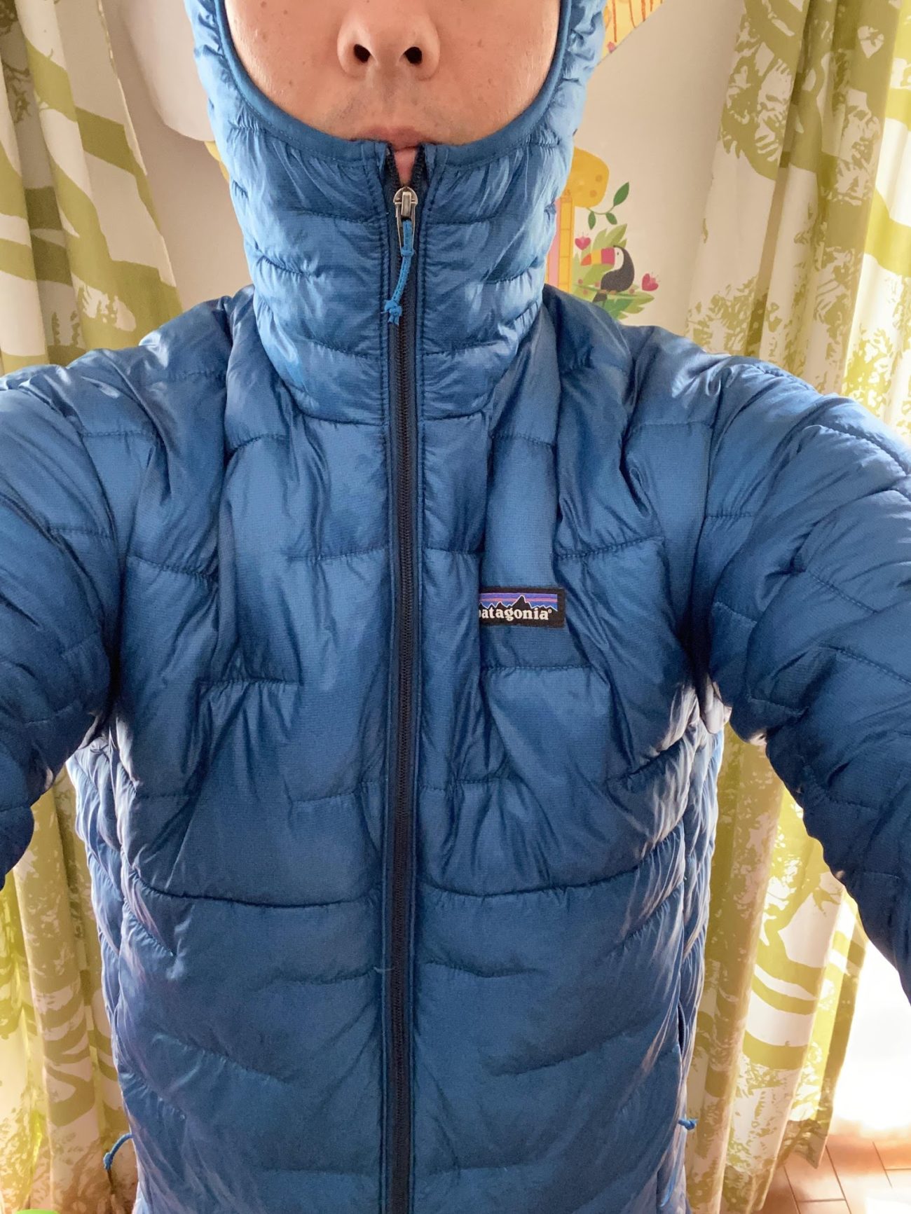 インサレー】 patagonia - 専用 パタゴニア マイクロパフジャケット 